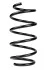 <strong>Пружина передняя Kangoo II 08- (340*14*155) RAISO SF244TP (фото 1)</strong>