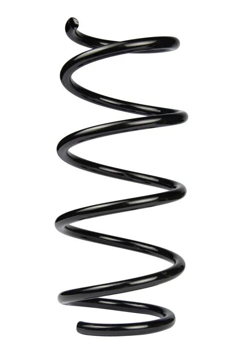 <strong>Пружина передня Grand Scénic II/Scénic II 03-09 (358*13,5*155) RAISO SF246TP (фото 1)</strong>