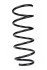 <strong>Пружина передня Duster 10-18 (385*12,5*138) RAISO SF249TP (фото 1)</strong>