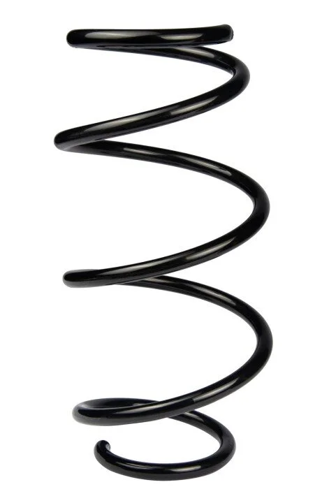 <strong>Пружина передня Clio III 05-14 (342*12,8*161) RAISO SF251TP (фото 1)</strong>