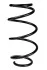 <strong>Пружина передня Clio III 05-14 (342*12,8*161) RAISO SF251TP (фото 1)</strong>