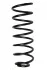 <strong>Пружина задня Vectra B 95-03 (361*11*119) RAISO SR038TP (фото 2)</strong>