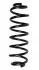 <strong>Пружина задня Passat 05-/Superb 08- (359*12,8*116) RAISO SR043TP (фото 2)</strong>