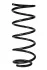 <strong>Пружина задня BMW 5 (E39) 95-04 (405*11,5*108,5) RAISO SR050TP (фото 2)</strong>