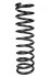 <strong>Пружина задня BMW 5 (E34) 88-95 (364*11,7*102) RAISO SR090TP (фото 2)</strong>
