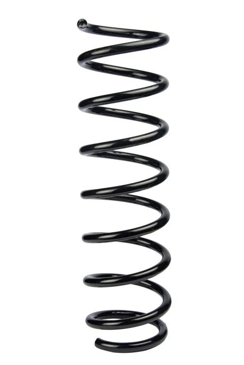 <strong>Пружина задня BMW 5 (E60) 01-10 (397*11,5*111) RAISO SR127TP (фото 1)</strong>