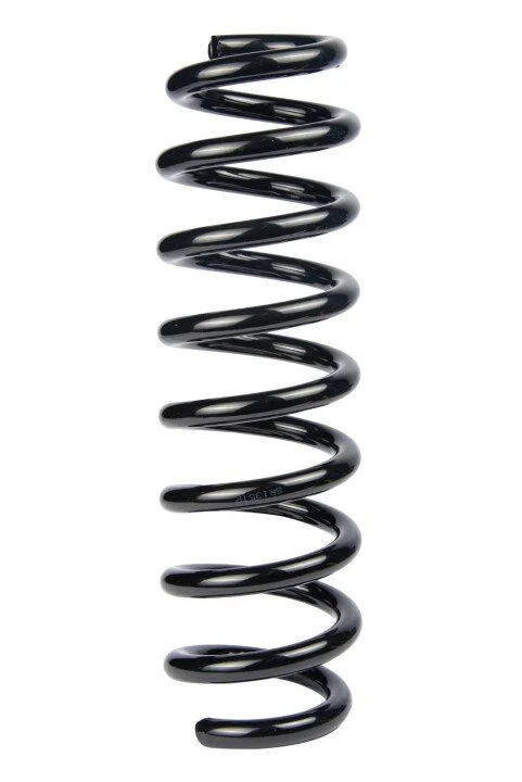 <strong>Пружина задня BMW 3 (E90/E92) 04-13 (342*13,3*100) RAISO SR135TP (фото 1)</strong>