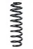 <strong>Пружина задня BMW 3 (E90/E92) 04-13 (342*13,3*100) RAISO SR135TP (фото 1)</strong>