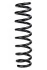 <strong>Пружина задня BMW 2 (F23), 3 (F30/F80) 12-21 (349*12,7*94) RAISO SR138TP (фото 1)</strong>