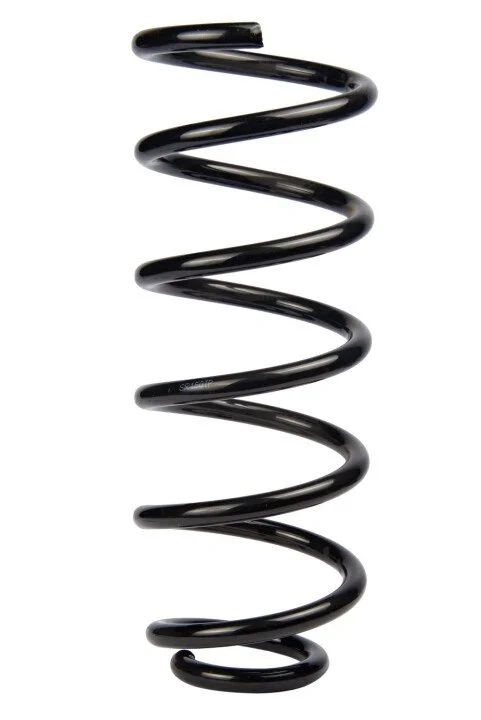 <strong>Пружина задня Fiat Fiorino 07- (326*12,25*120) RAISO SR150TP (фото 1)</strong>