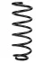 <strong>Пружина задня Fiat Fiorino 07- (326*12,25*120) RAISO SR150TP (фото 1)</strong>