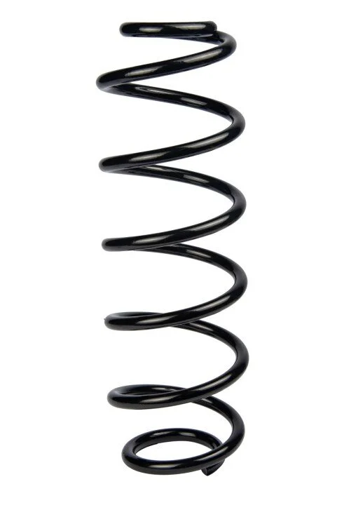 <strong>Пружина задня Citroen C4/C4 I/C4 II/Peugeot 307 00- (348*10,7*113) RAISO SR156TP (фото 1)</strong>