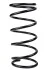 <strong>Пружина задня Daewoo Nubira 97- RAISO SR163TP (фото 1)</strong>