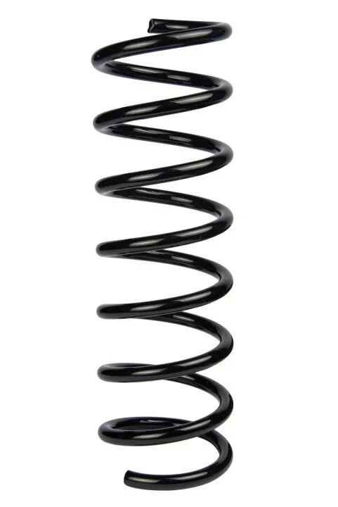 <strong>Пружина задня Ford C-Max/Focus C-Max 03-10 (360*11,7*110) RAISO SR167TP (фото 1)</strong>