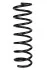 <strong>Пружина задня Ford C-Max/Focus C-Max 03-10 (360*11,7*110) RAISO SR167TP (фото 1)</strong>