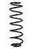 <strong>Пружина задня Ford Fiesta V 01-10 (334*10*108) RAISO SR174TP (фото 1)</strong>