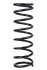 <strong>Пружина задня Ford Focus I 98-05 (346*11*109) RAISO SR175TP (фото 1)</strong>