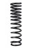 <strong>Пружина задня Ford Focus 98-04 (універсал) RAISO SR176TP (фото 1)</strong>