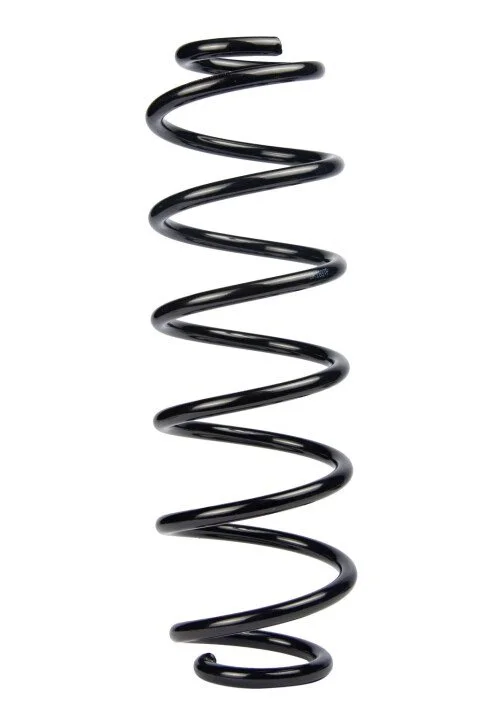<strong>Пружина задня Ford Fusion 02-12 (350*10,3*110) RAISO SR183TP (фото 1)</strong>