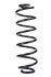 <strong>Пружина задня Ford Fusion 02-12 (350*10,3*110) RAISO SR183TP (фото 1)</strong>