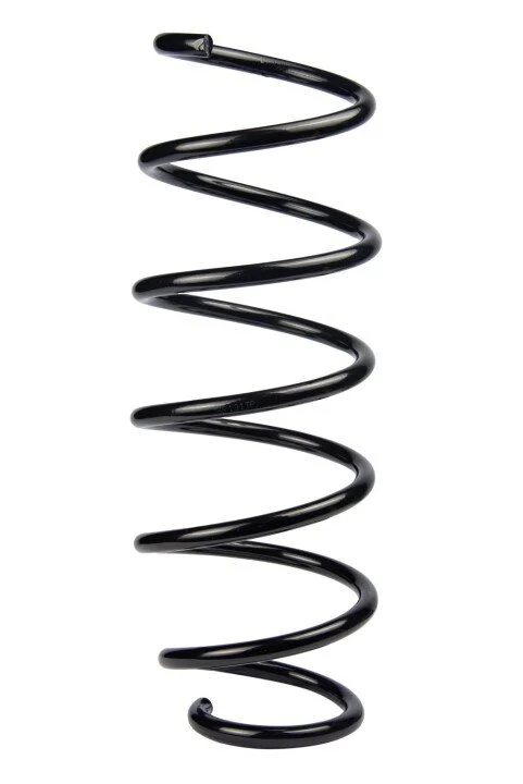 <strong>Пружина задня Mondeo III 00-07 RAISO SR191TP (фото 1)</strong>
