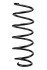 <strong>Пружина задня Mondeo III 00-07 RAISO SR191TP (фото 1)</strong>