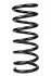 <strong>Пружина задня Ford S-Max 06-14 (349*15*137) RAISO SR198TP (фото 1)</strong>