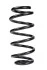 <strong>Пружина задня Avensis 09-18 (287*13,5*126) RAISO SR207TP (фото 1)</strong>