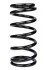 <strong>Пружина задня Santa Fe I 01-06 (295*15*135) RAISO SR214TP (фото 1)</strong>