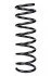 <strong>Пружина задня Volvo S40 II/Mazda 3 04-12 (343*11,8*109) RAISO SR218TP (фото 1)</strong>