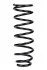 <strong>Пружина задня Toyota Corolla 02-07 (універсал)(336х108х11 мм) RAISO SR229TP (фото 1)</strong>