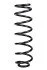 <strong>Пружина задня Scenic III 09- (369*11,5*108) RAISO SR239TP (фото 1)</strong>
