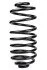 <strong>Пружина задня Kangoo II 08- (376*14,5*161) RAISO SR243TP (фото 1)</strong>
