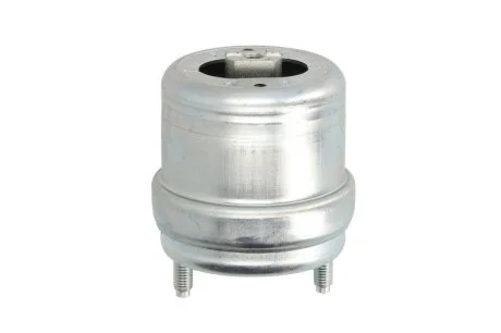 Подушка двигуна для Volkswagen Reinhoch RH110054 фото товару