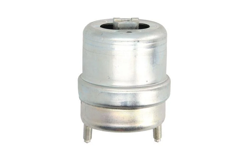<strong>Подушка двигуна Reinhoch RH110129 (фото 1)</strong>