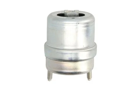 Подушка двигуна для Volkswagen Reinhoch RH110129 фото товару