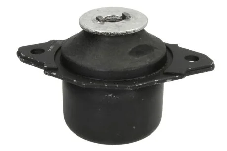 Подушка двигуна для Volkswagen Reinhoch RH110130 фото товару
