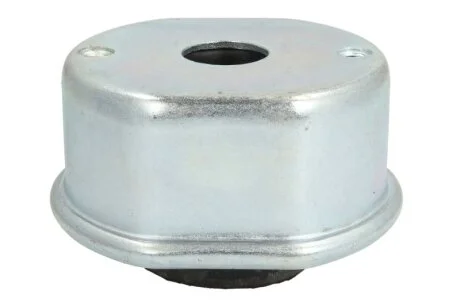Подушка двигуна для Volkswagen Reinhoch RH110132 фото товару