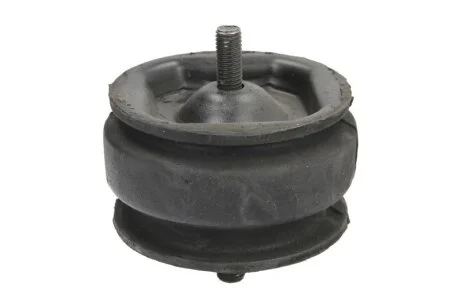 Подушка двигуна для Ford Reinhoch RH114002 фото товару