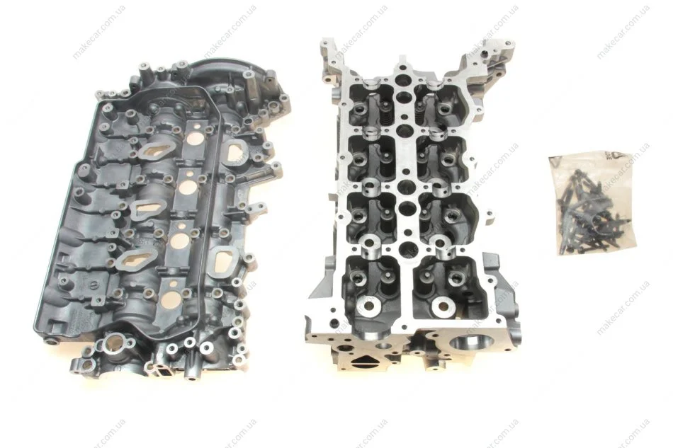 <strong>Головка блоку двигуна RENAULT 110415059R (фото 1)</strong>