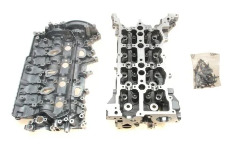 Головка блоку двигуна для Nissan, Opel, Renault RENAULT 110415059R фото товару
