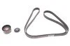 <strong>Комплект ременя генератора 1.9 dCii Master/Movano/Trafic/Vivaro 01- (+AC) RENAULT 117200713R (фото 1)</strong>