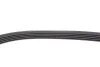 <strong>Комплект паса додатк. обладнання ролик k7j k7m RENAULT 117201773R (фото 6)</strong>
