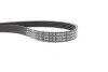 <strong>Комплект паса додатк. обладнання ролик k7j k7m RENAULT 117201773R (фото 7)</strong>