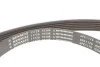 <strong>К-т ременя додатк. обладнання RENAULT 117201925R (фото 6)</strong>