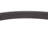 <strong>Комплект пасу поліклинового RENAULT 117202495R (фото 6)</strong>