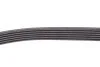 <strong>РЕМІНЬ RENAULT 117202506R (фото 6)</strong>