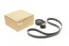 <strong>Комплект пасу поліклинового 6 pk 1200 ролик 7701 RENAULT 117203694R (фото 1)</strong>