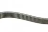 <strong>Комплект пасу поліклинового 6 pk 1200 ролик 7701 RENAULT 117203694R (фото 2)</strong>