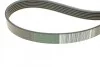 <strong>Комплект пасу поліклинового 6 pk 1200 ролик 7701 RENAULT 117203694R (фото 3)</strong>